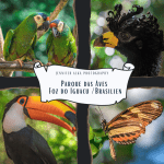 Der Vogelpark „Parque das Aves“, Foz do Iguacu / Brasilien
