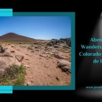 Dieses Bild ist das Coverbild für meinen Reisebericht zu meiner Wanderung auf den Cerro Colorado mit Rückweg über Laguna Rosales bei San Martin de Los Andes: