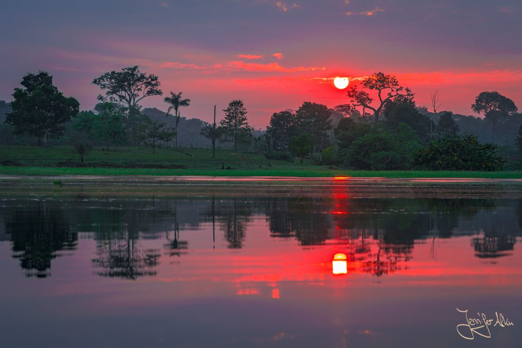Traumhafter Sonnenaufgang am Amazonas bei Manaus