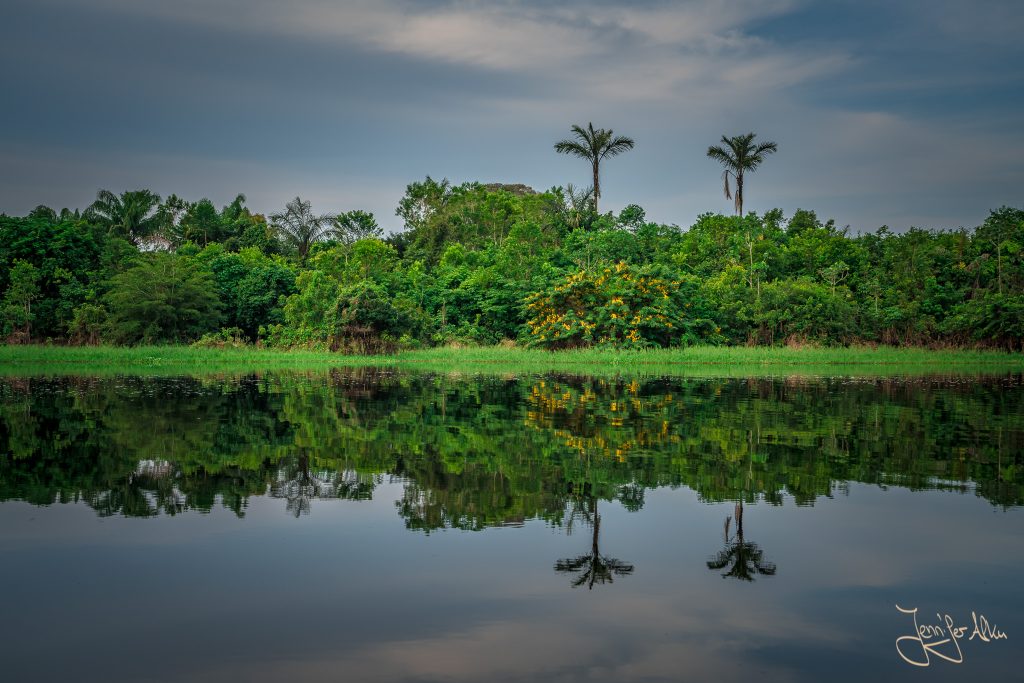 Amazonas-Regenwald Brasilien