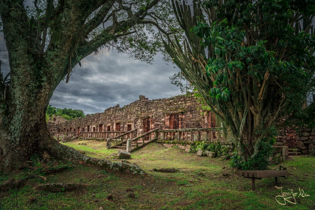 Alter Baumbestand in den Ruinen von San Ignacio Mini
