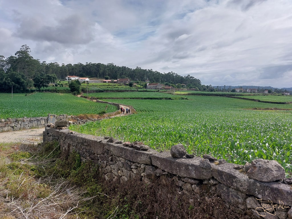 Dieses Bild zeigt den Camino Portugues Central nach Pedra Furada