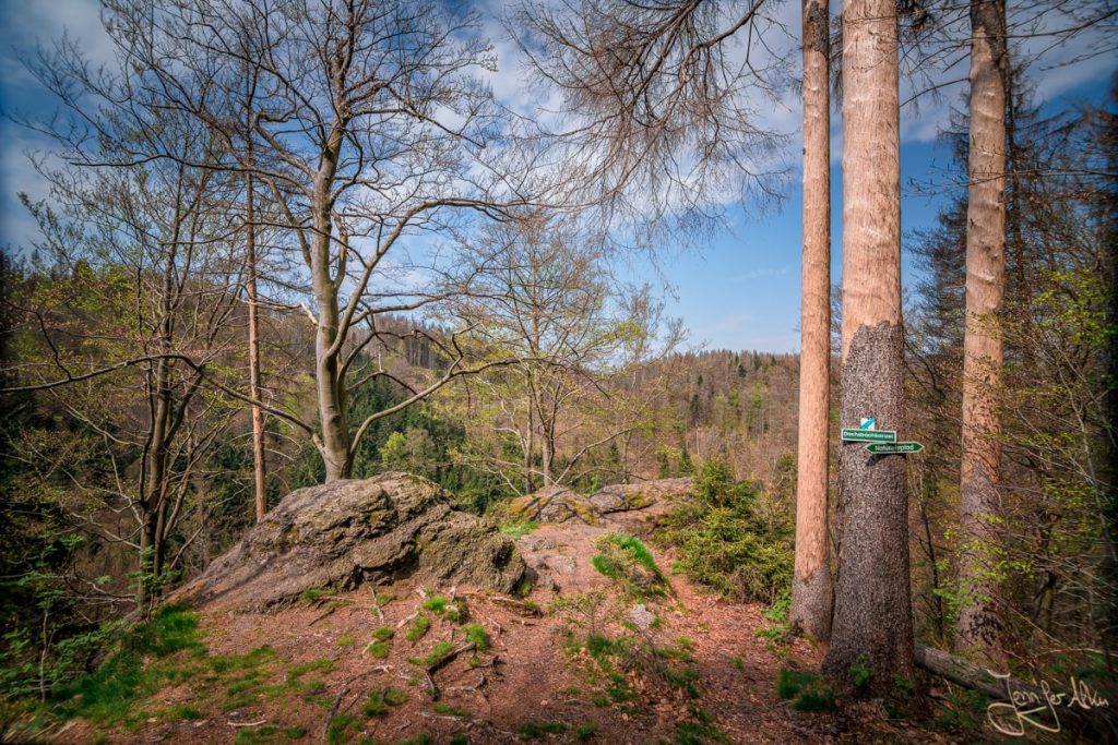 Dieses Bild zeigt die Dachsbachkanzel im Thüringer Wald