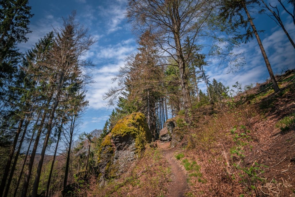 Dieses Bild zeigt den Schröderfelsen im Thüringer Wald