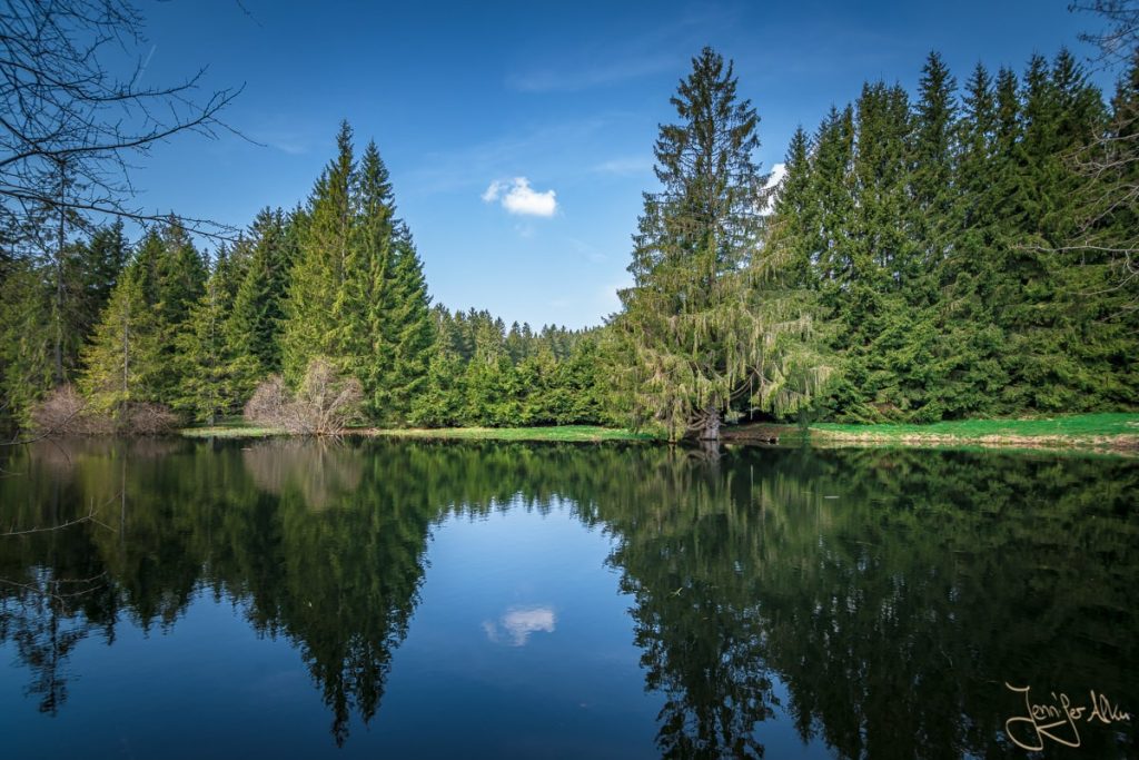 Dieses Bild zeigt die schönen Spiegelungen im Ochsenbacher Teich