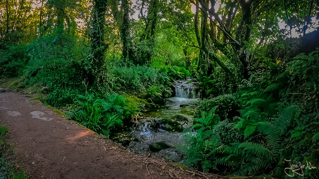 Wasserfall am Weg des Camino Espiritual in Galicien zwischen dichtem Grün
