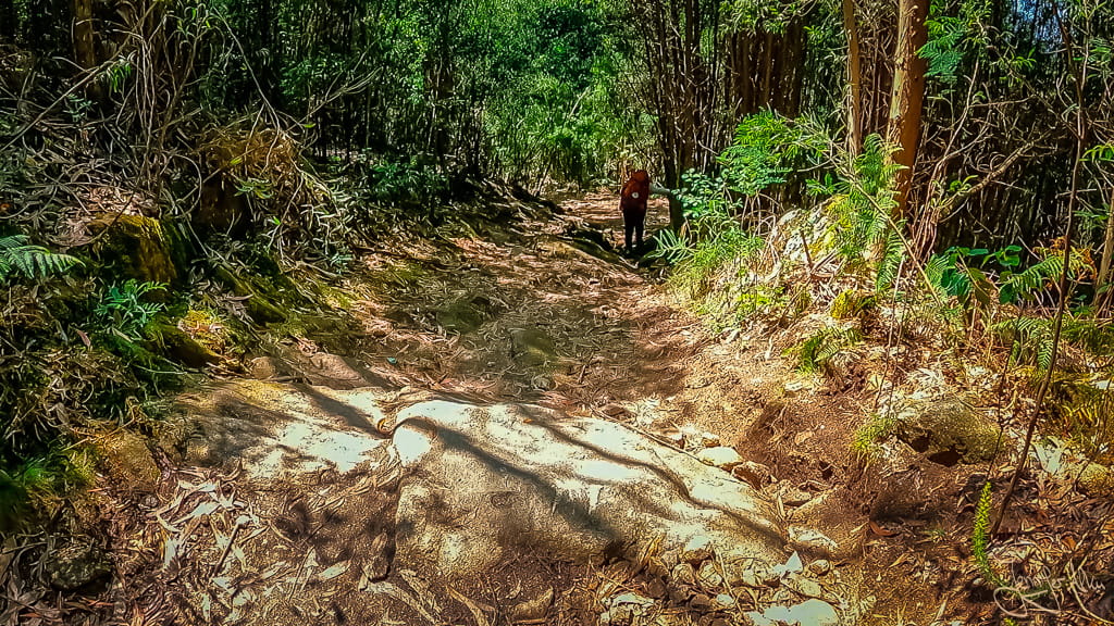 Felsiger Abstieg mit steilem Gefälle auf dem Camino Espiritual