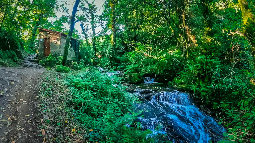 Bach mit kleinen Kaskaden und Wanderweg auf der Ruta da Pedra e da Auga