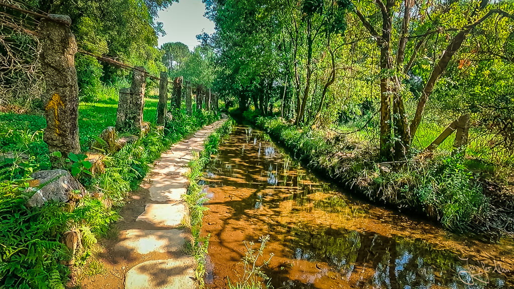 Schmaler Pilgerpfad entlang eines klaren Bachlaufs, umgeben von üppigem Grün auf dem Camino Portugues Central in Galicien.