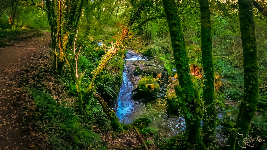 Kaskaden im Bachlauf auf der Ruta da Pedra e da Auga in Galicien