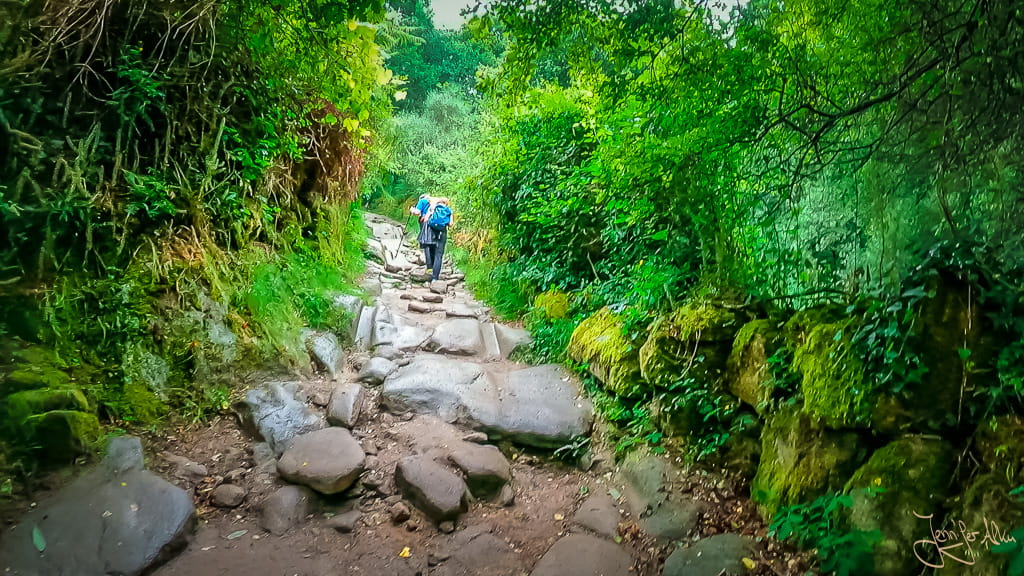 Steiniger Weg auf dem portugiesischen Jakobsweg, der durch Regen rutschig geworden ist.