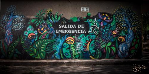 Streetart in Mendoza