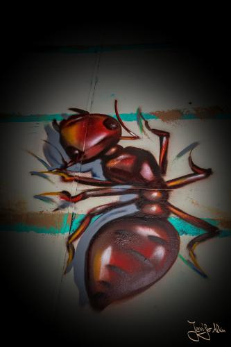 Streetart in Mendoza