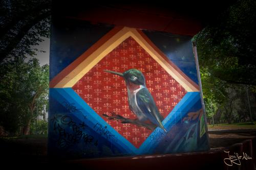 Streetart in Mendoza