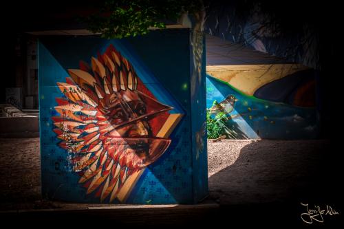 Streetart in Mendoza