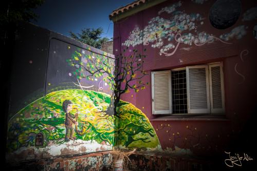 Tolle Streetart in Mendoza...