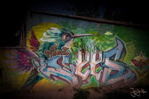 Streetart am Ciclovia Godoy Cruz