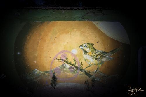 Streetart am Ciclovia Godoy Cruz