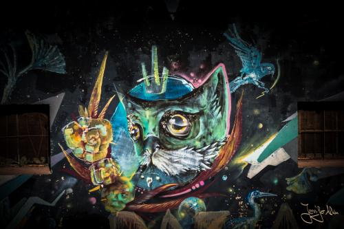 Streetart am Ciclovia Godoy Cruz