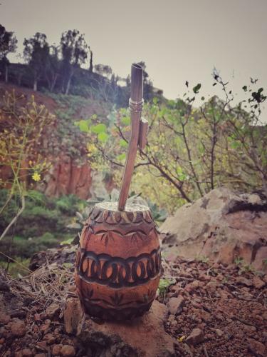 Mate trinken an meinem Lieblingsplatz im großen Garten