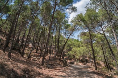 Malaga, Spanien, Andalusien, Ausflugsziele, El Chorro, Ardales, Antequerra, Caminito del Rey, Stausee „Embalse del Guadalhorce“, Jennifer Alka, Hassfurt
