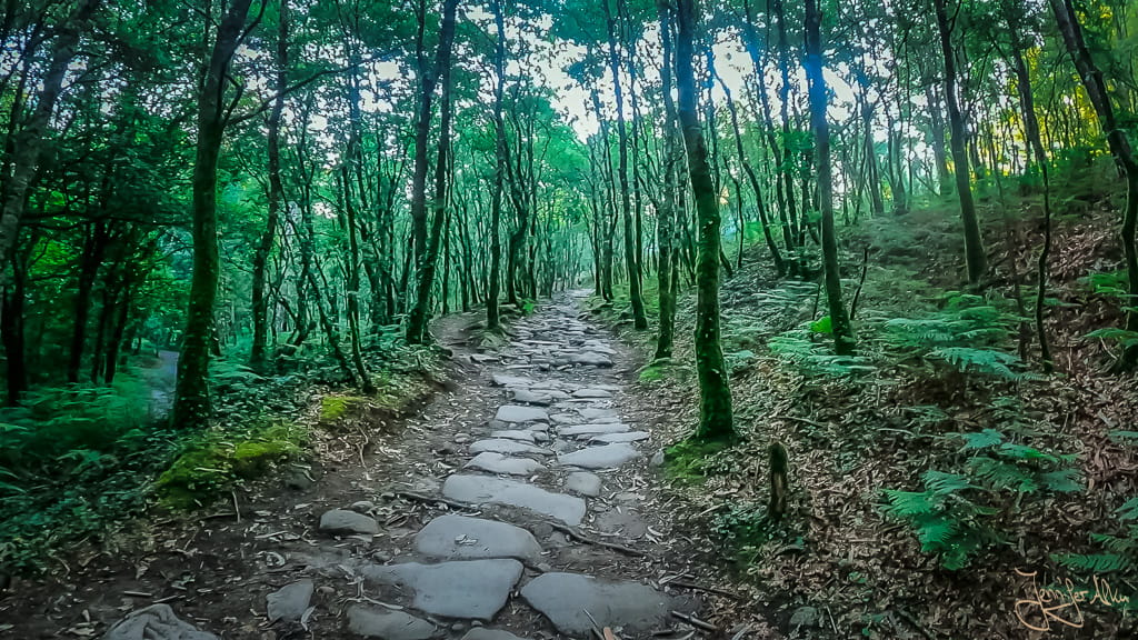 Steiniger Waldweg auf der letzten Etappe des Camino Portugués nach Santiago de Compostela
