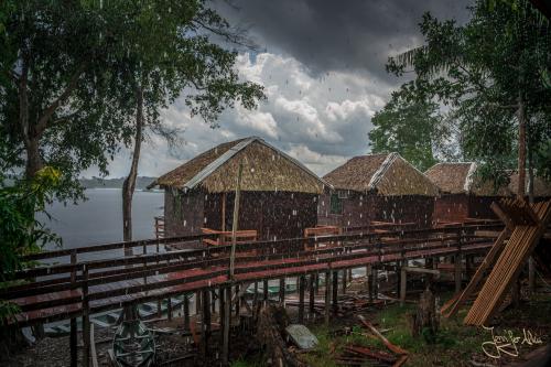 Der Regenwald macht seinem Namen alle Ehre... Nach der Ankunft hat es ordentlich geregnet...