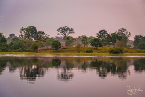 Sonnenaufgang am Amazonas (Manaus / Brasilien)