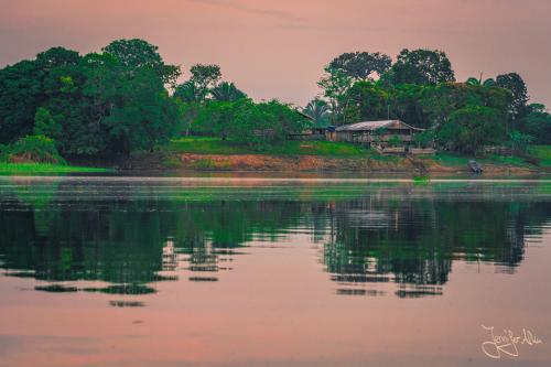 Sonnenaufgang am Amazonas (Manaus / Brasilien)