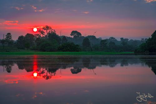 Sonnenaufgang am Amazonas (Manaus / Brasilien)