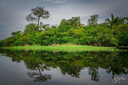 Tolle Spiegelung im Amazonas