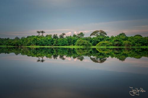 Spiegelung im Amazonas