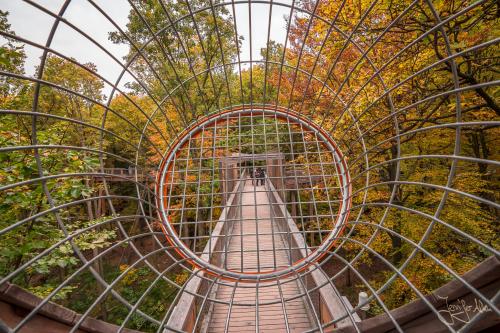 Spiel und Spaß beim Baumwipfelpfad Ebrach / Steigerwald