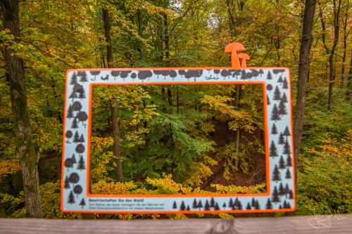 Fotospot am Baumkronenweg Ebrach
