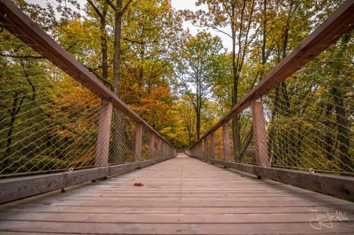 Baumwipfelpfad Ebrach - Der Steigerwald im Herbstkleid