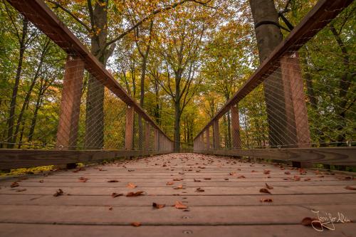 Baumwipfelpfad Ebrach - Der Steigerwald im Herbstkleid