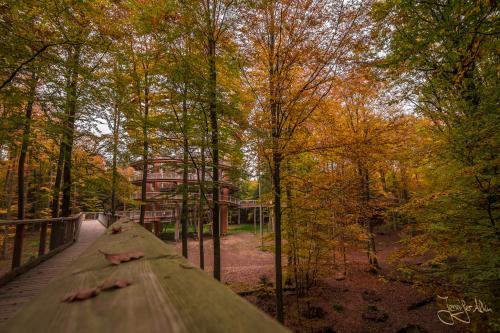 Baumwipfelpfad Ebrach - Der Steigerwald im Herbst