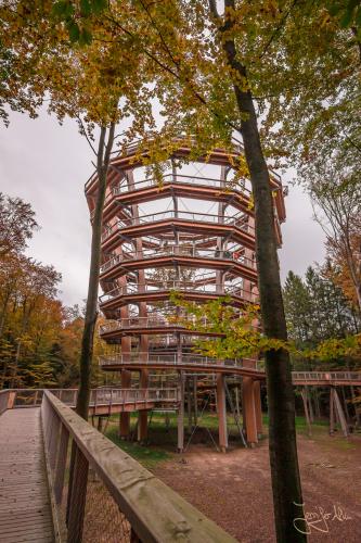 Aussichtsturm Baumwipfelpfad Ebrach / Steigerwald