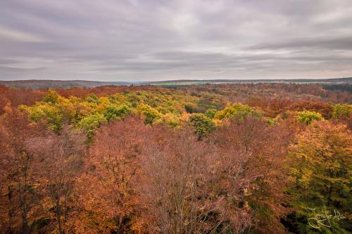 Baumwipfelpfad Ebrach - Der Steigerwald im Herbst