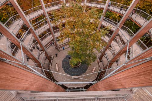 Aussichtsturm Baumwipfelpfad Ebrach / Steigerwald