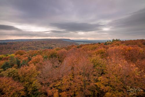 Baumwipfelpfad Ebrach - Der Steigerwald im Herbst