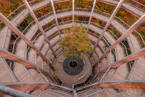 Aussichtsturm beim Baumwipfelpfad Ebrach - Der Steigerwald im Herbst
