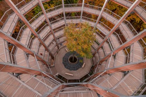 Aussichtsturm beim Baumwipfelpfad Ebrach - Der Steigerwald im Herbst