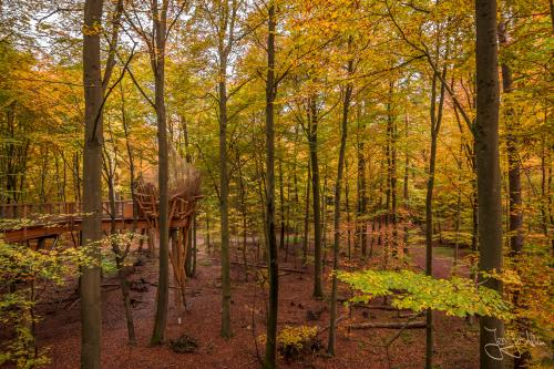 Baumwipfelpfad Ebrach - Der Steigerwald im Herbst
