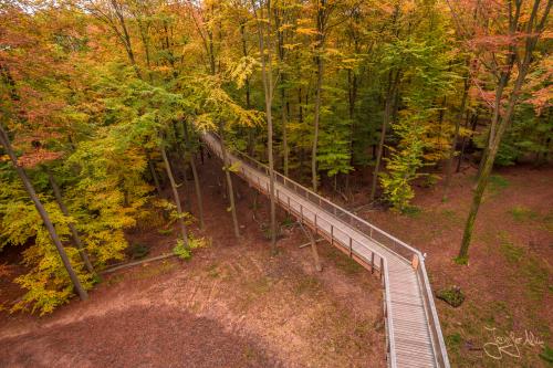 Baumwipfelpfad Ebrach - Der Steigerwald im Herbst