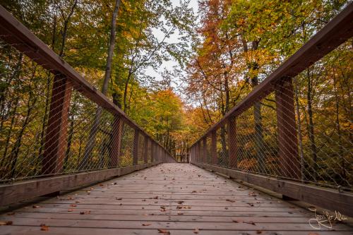 Baumwipfelpfad Ebrach - Der Steigerwald im Herbst
