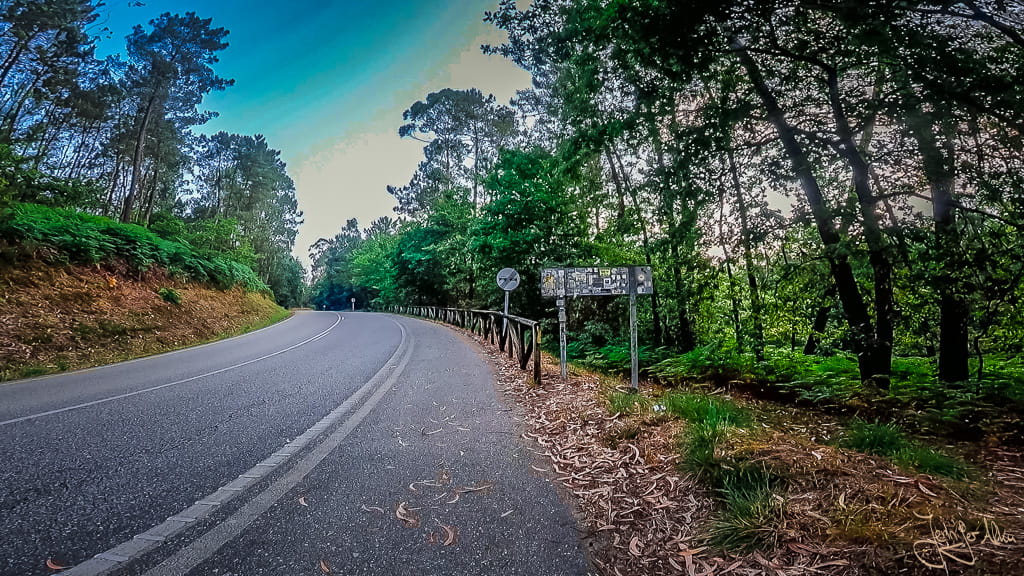 Breiter Seitenstreifen entlang einer Straße auf dem Camino Portugues Central in Spanien, der Pilgern einen sicheren Gehweg abseits des Verkehrs bietet.