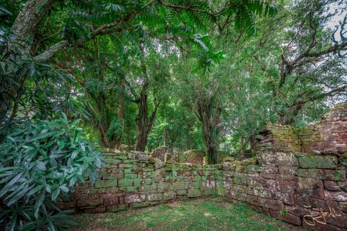 Die Ruinen von San Ignacio Mini