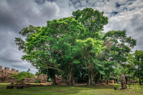 Die Ruinen von San Ignacio Mini
