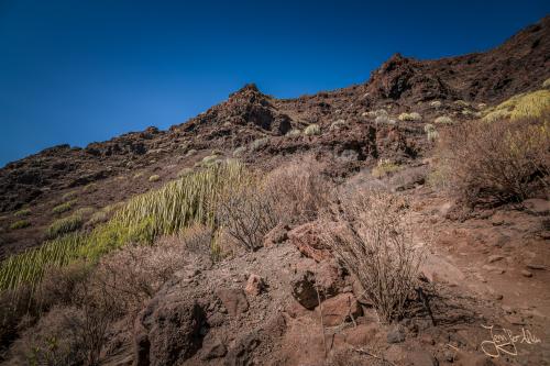 Wanderung von Tasartico zum Playa Güi Güi